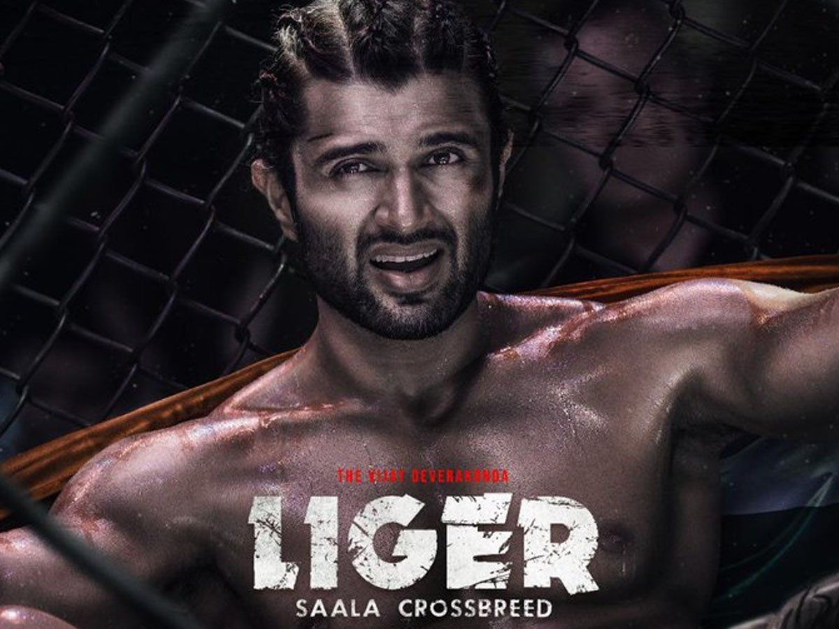 Vijay Devarakonda Liger Box Office Liger Box Office Vijay Devarakonda