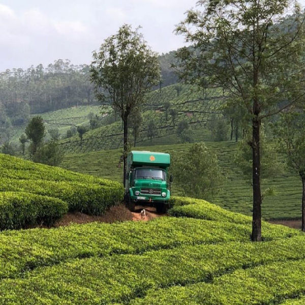 kerala tourism, kerala tourism package, kerala destinations,unique places to visit in kerala