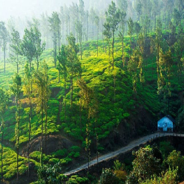 kerala tourism, kerala tourism package, kerala destinations,unique places to visit in kerala