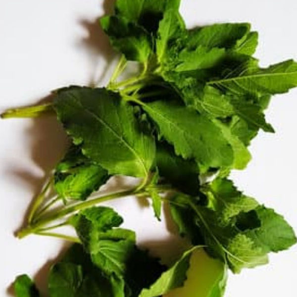 Tulsi ke fayde in hindi