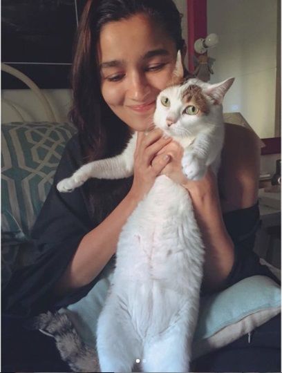 Alia Bhatt Cat pictures