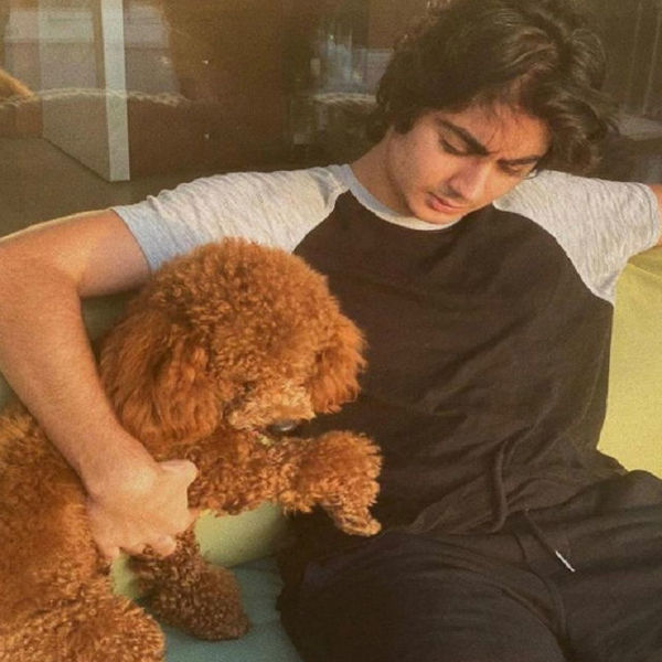 अरहान खान