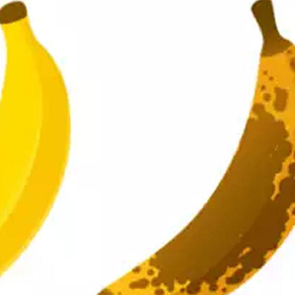 color of banana