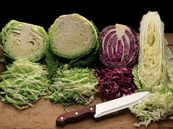 Cabbage