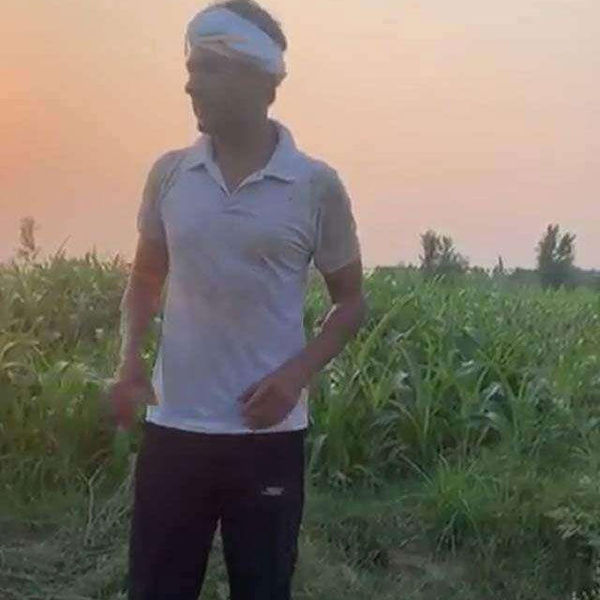 Lockdown Celebs Farming