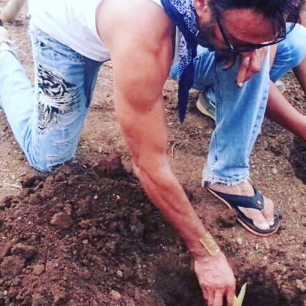 Lockdown Celebs Farming