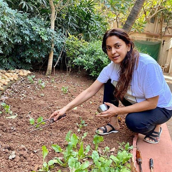 Lockdown Celebs Farming