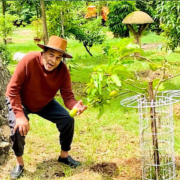 Lockdown Celebs Farming