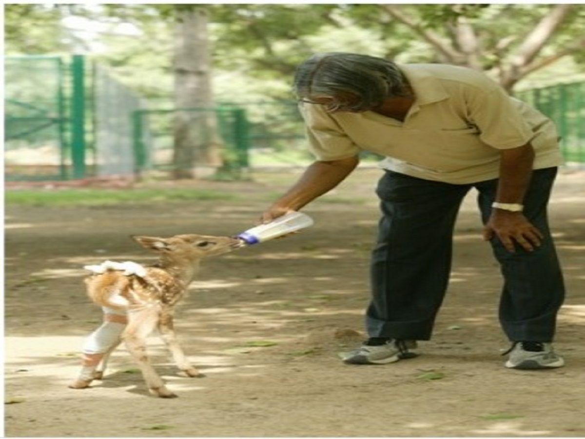 Dr APJ Abdul Kalam