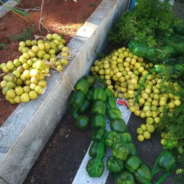 Xi Jinping, PM Modi, mamallapuram, modi-xi meet