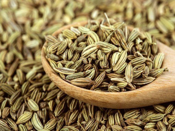 Weight Loss From eating 100 gram Fennel Know Other Benefits केवल 100 ग्राम सौंफ से हो सकता हैं वेट लॉस, कैंसर समेत इन बीमारियों को करेगा दूर