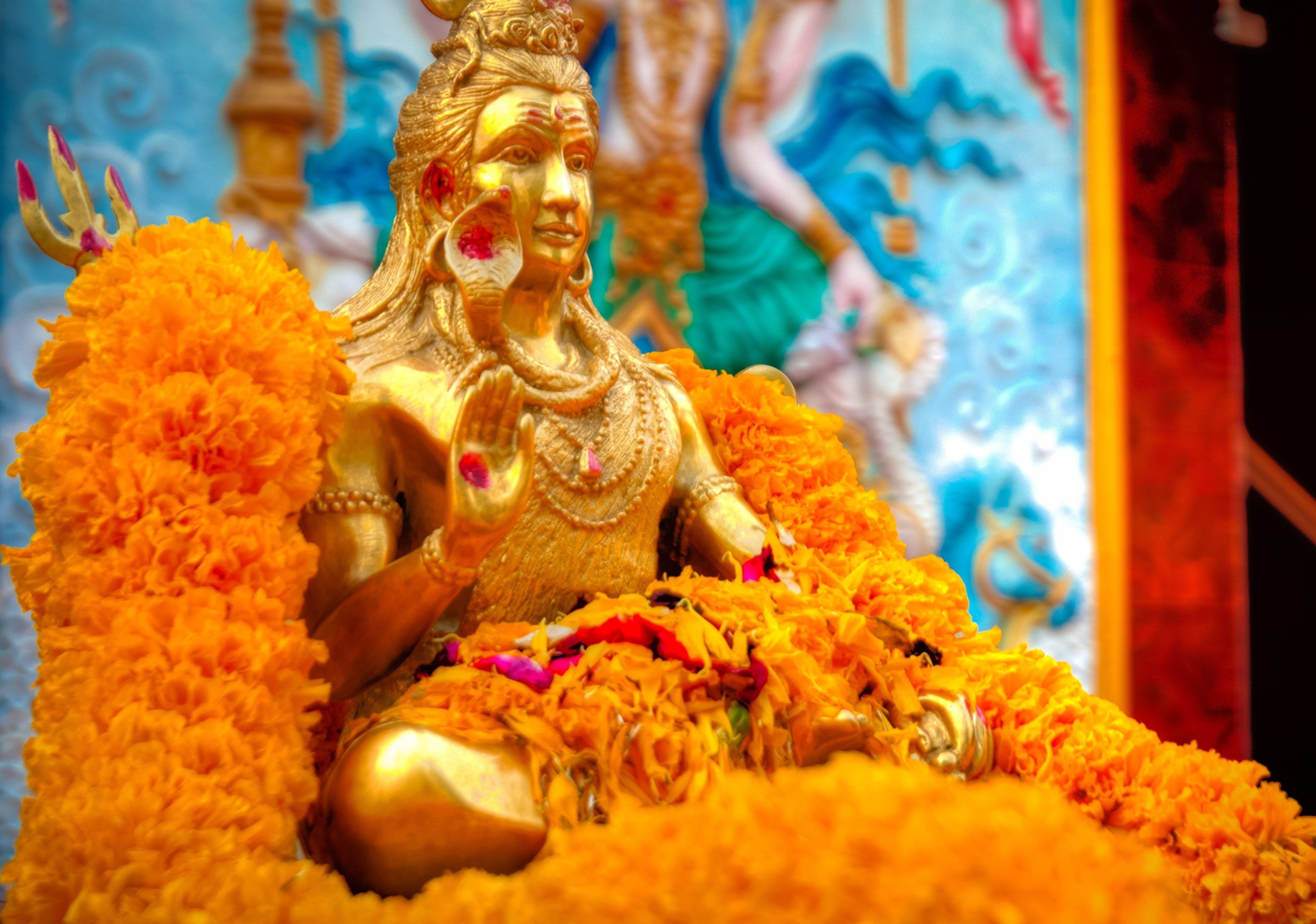 What to do when you receive flowers offered to God, जानें क्‍या करें जब