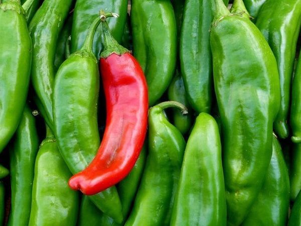 Amazing health benefits to eating green chillies 