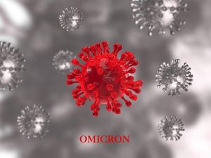Omicron Covid Variant