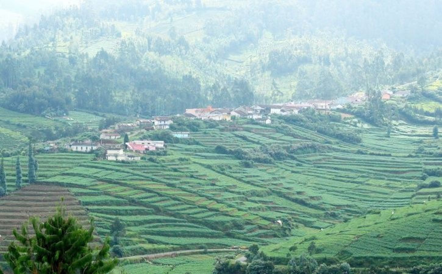 Ooty tour guide