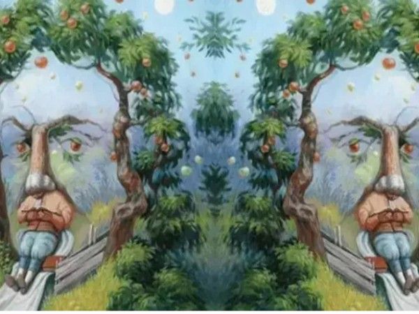 Optical Illusion Photo What Was Shown First in This Viral Photo Know You Personality