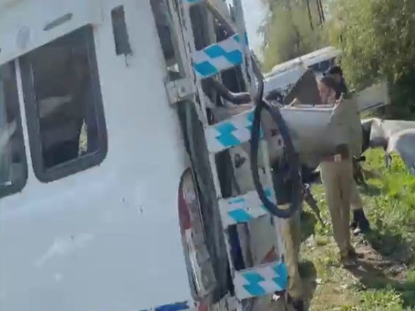 jammu kashmir, tulip garden, blast