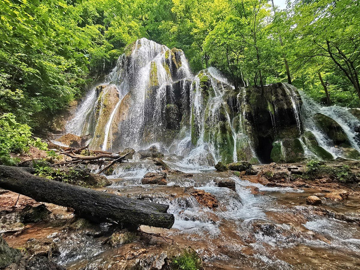 Virgin Beech Forests of the Carpathians 