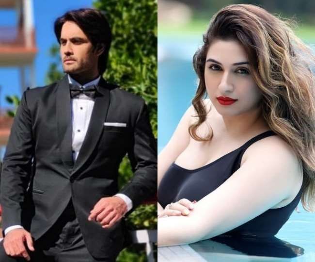 Vivian Dsena and wife Vahbiz Dorabjee announce divorce