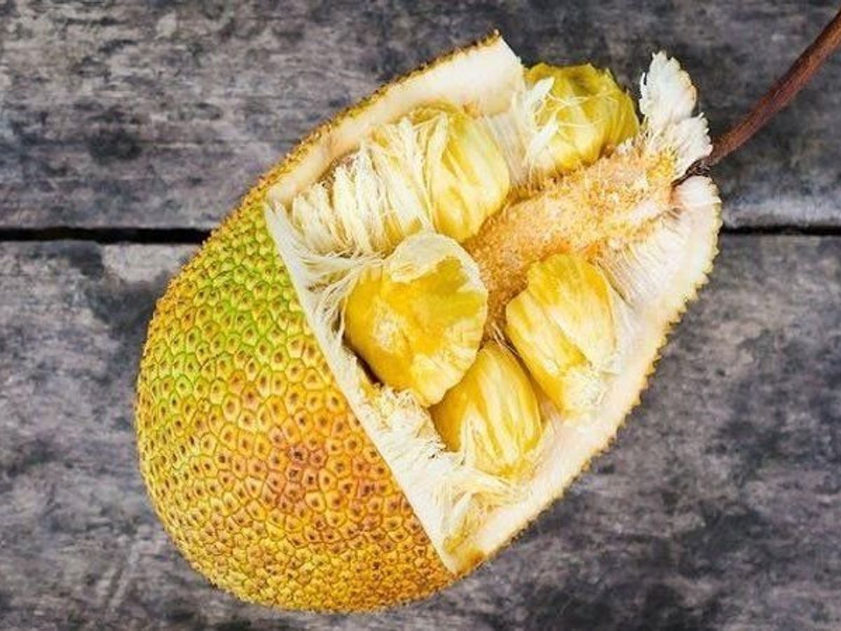 Amazing Health Benefits कटहल ख न क प च बड फ यद व ट ल स ह नह इन ब म र य क ल ए भ ह ल भक र Amazing Health Benefits Of Eating Jackfruit Know About It Health Tips