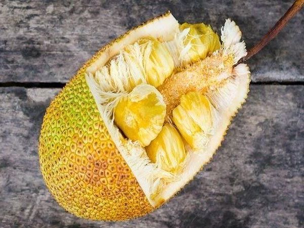 jackfruit