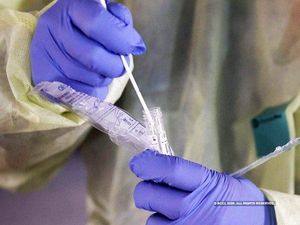 corona virus updates