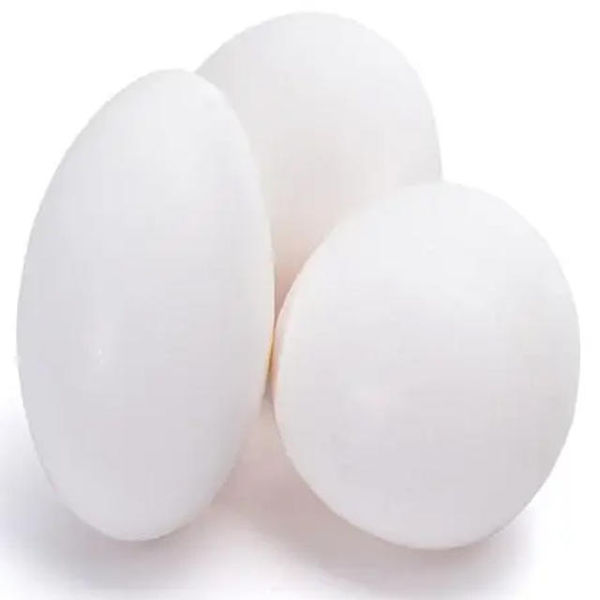 10 must eat best winter food die