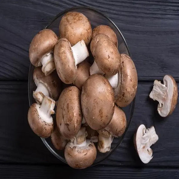 10 must eat best winter food die