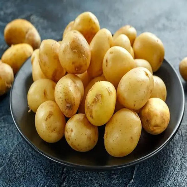 10 must eat best winter food die