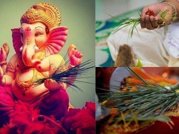 Durva Grass Benefits