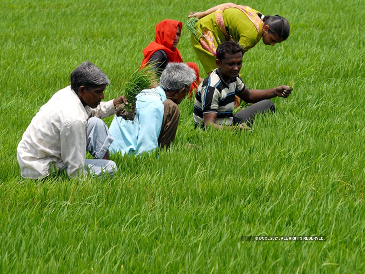 PM Kisan Yojana: किसानों की 10वीं किश्त का इंतजार हुआ खत्म, इस दिन खाते में आएंगे पैसे