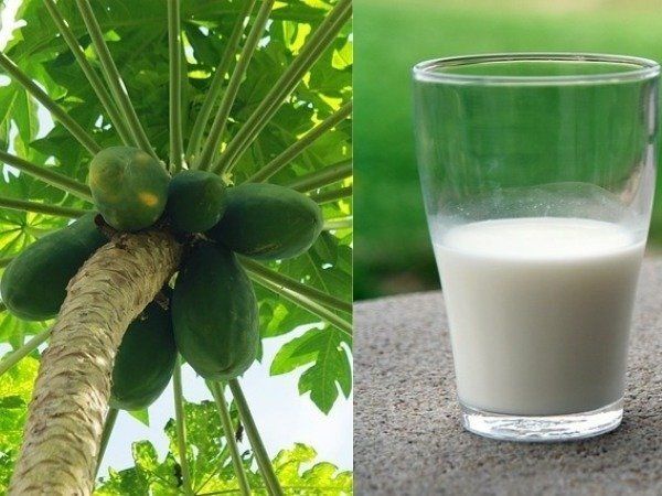 home remedies to increase blood platelets