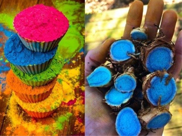 Lal kitab ke Totke upay on Holi 