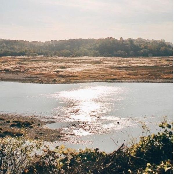 South Korean Imjin river near North Korea border turns red after culling of thousands pig