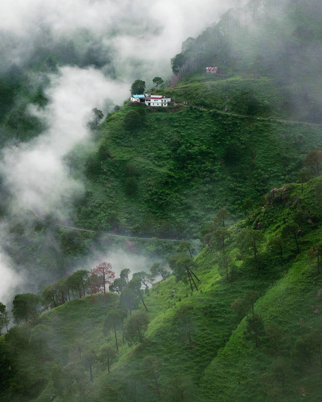 kasauli