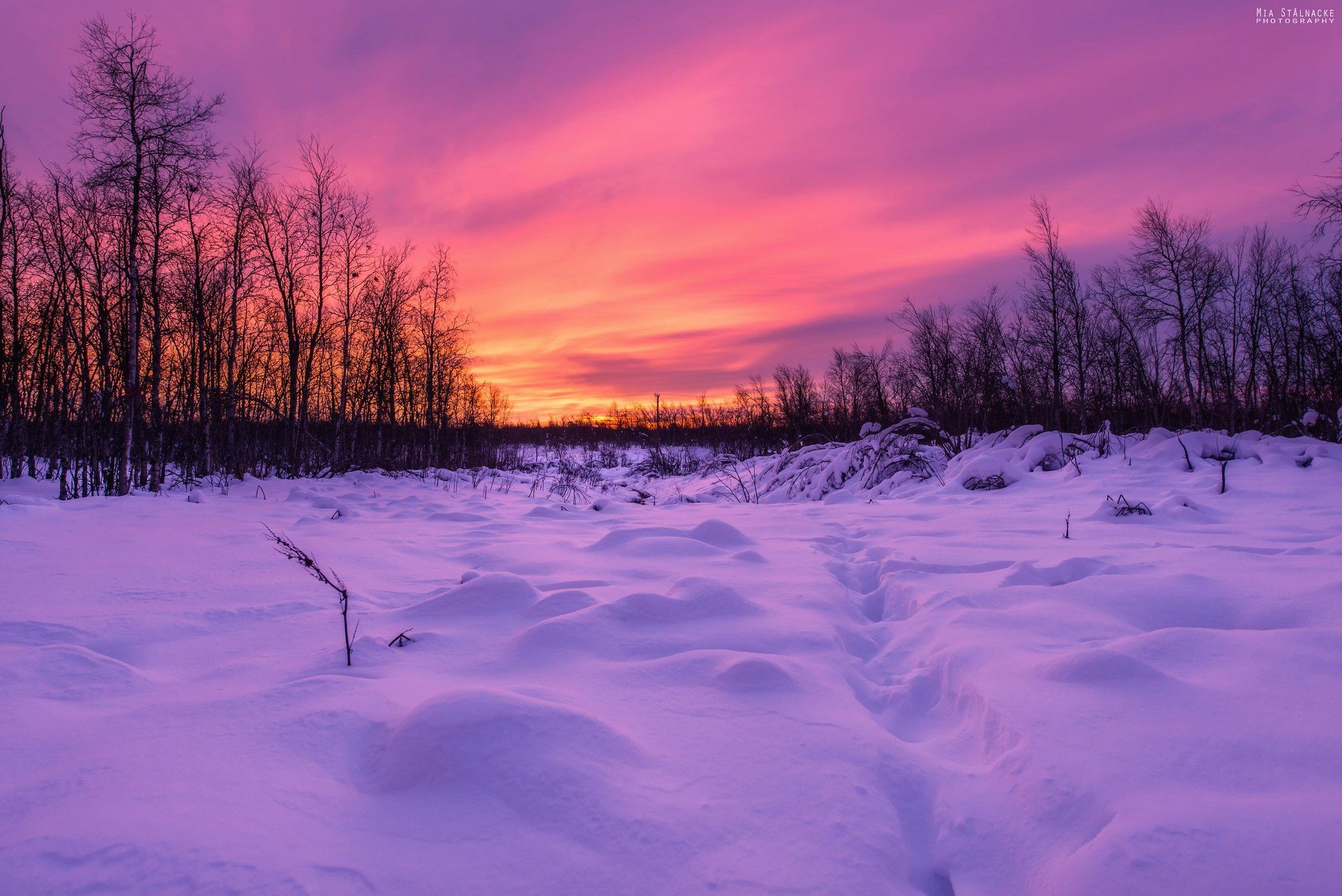 kiruna sun