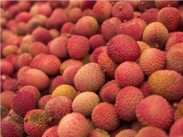 Lychee
