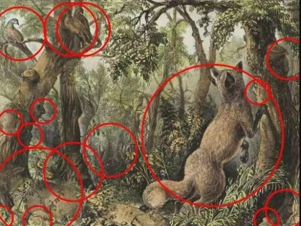 Can You Find 16 Animals In Optical Illusion Viral Photo