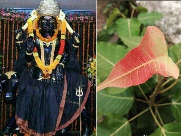  Remedies To Please Shani Dev on Shaniwar 