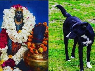 Shani Devta Auspicious Sign Shani Devta Auspicious Sign
