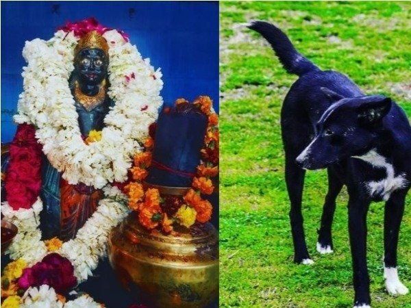 Shani Devta Auspicious Sign