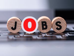 sarkari result 2021, sarkari job
