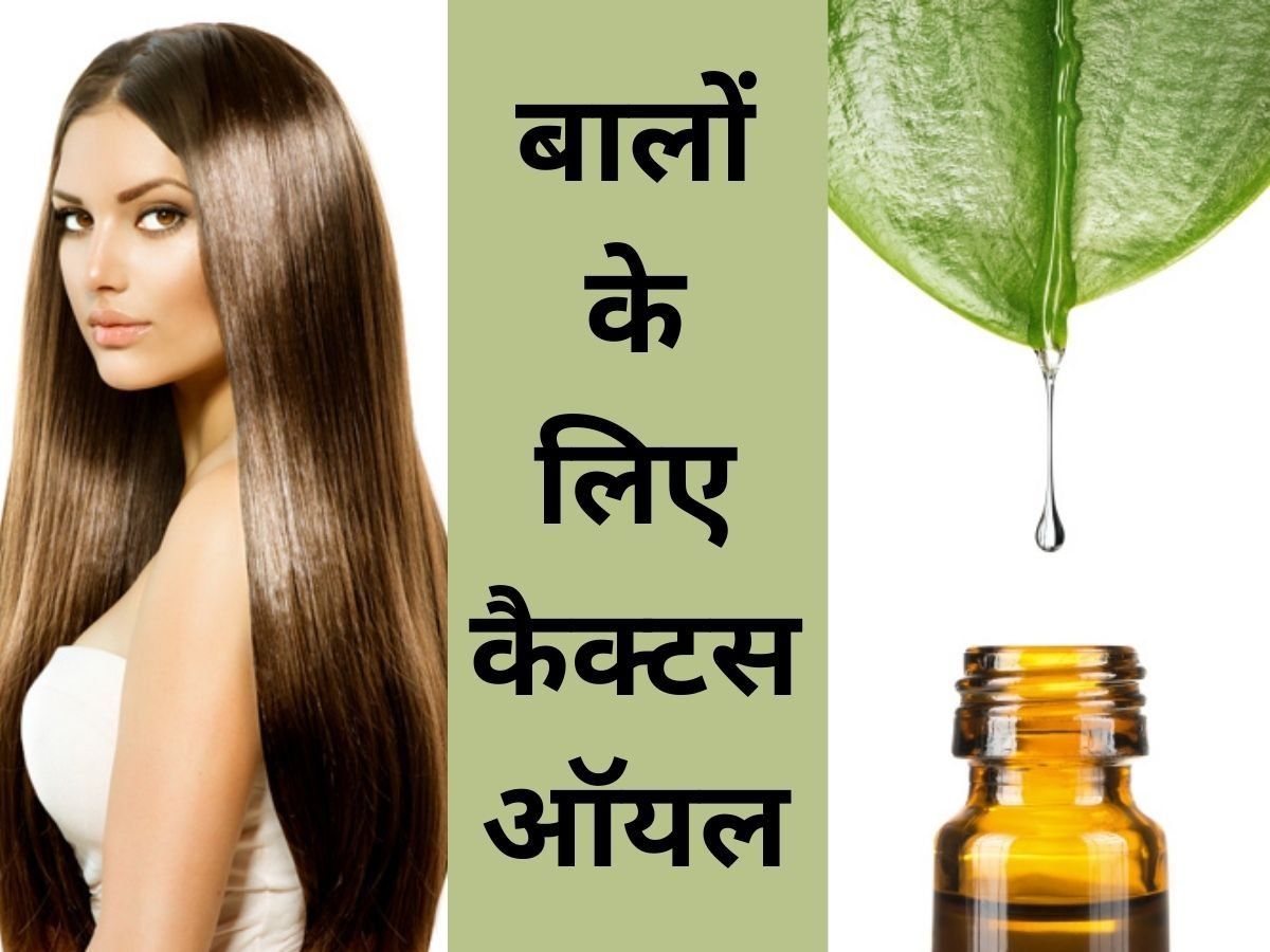 Cactus oil : गिरते बाल की परेशानी को चुटकियों में दूर करेगा कैक्टस ऑयल, रोजाना लगाने से होंगे हैं कई फायदे