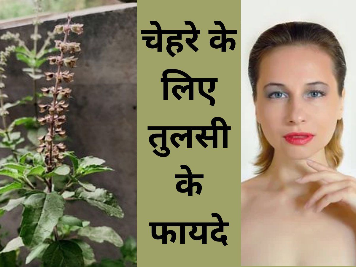 How To Use Tulsi Leaves For Face