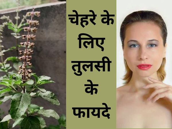 tulsi for Skin