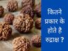  Shiva's favorite Rudraksha from the Mahadasha of the malefic planets