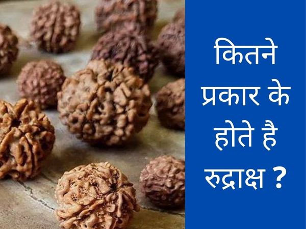  Shiva's favorite Rudraksha from the Mahadasha of the malefic planets