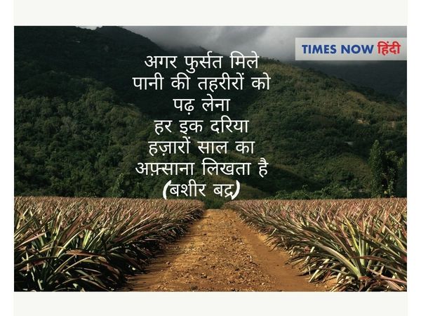 shayari on environment in hindi,environment day hindi shayari,पर्यावरण दिवस शायरी, पर्यावरण दिवस पर शायरी, विश्व पर्यावरण दिवस शायरी, विश्व पर्यावरण दिवस पर कुछ शायरी, पर्यावरण प्रदूषण पर शायरी, environment day shayari in hindi, environment day hindi shay