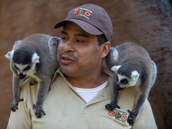  Covid-19 outbreak,coronavirus