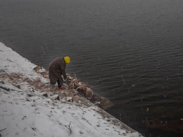 Freezing snowfall in Kashmir